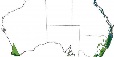 Australien Regenwald-map - Karte von australischen Regenwald